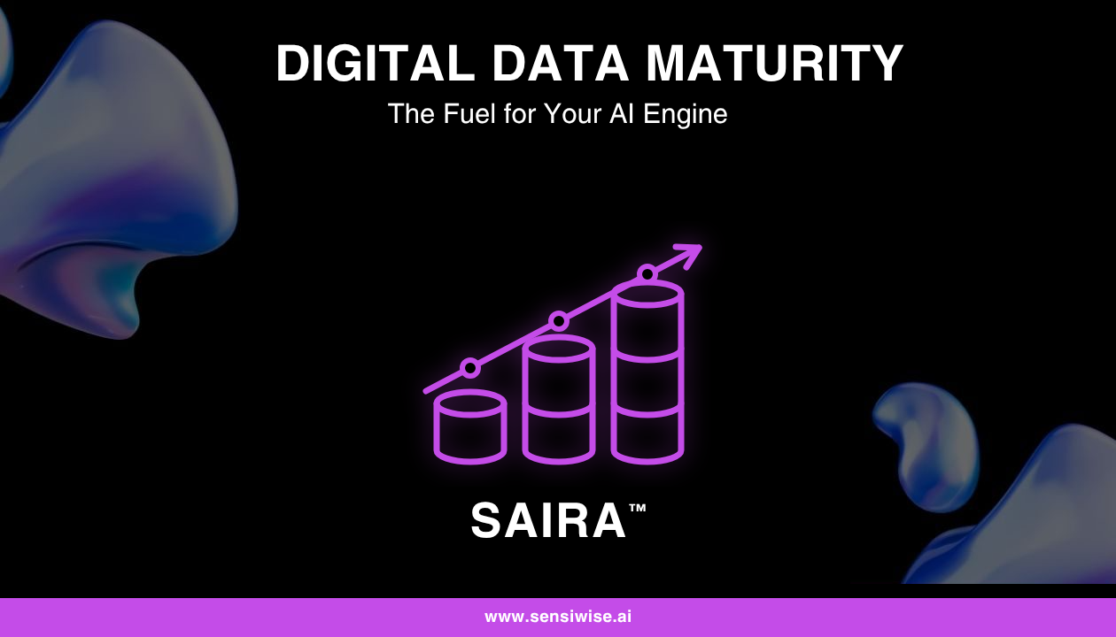 Digital Data Maturity